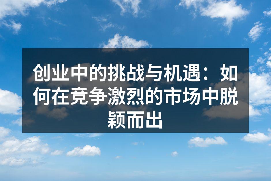 创业中的挑战与机遇：如何在竞争激烈的市场中脱颖而出